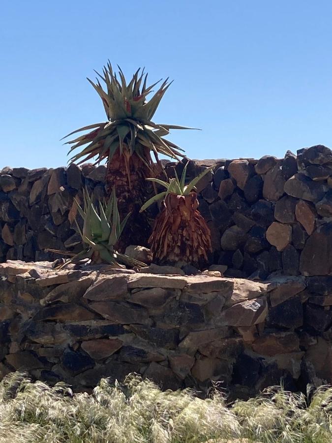3 Aloes Guesthouse Uis エクステリア 写真